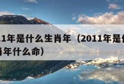 2011年是什么生肖年（2011年是什么生肖年什么命）