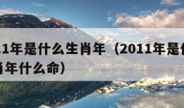 2011年是什么生肖年（2011年是什么生肖年什么命）