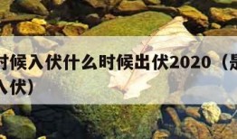 什么时候入伏什么时候出伏2020（是什么时候入伏）