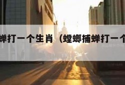 螳螂捕蝉打一个生肖（螳螂捕蝉打一个生肖和动物）