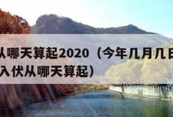 入伏从哪天算起2020（今年几月几日入伏 今年入伏从哪天算起）