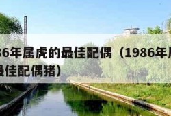 1986年属虎的最佳配偶（1986年属虎的最佳配偶猪）