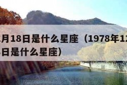 12月18日是什么星座（1978年12月18日是什么星座）