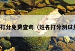 名字打分免费查询（姓名打分测试免费）