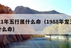 2021年五行属什么命（1988年龙五行属什么命）