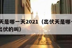 出伏天是哪一天2021（出伏天是哪一天2021出伏的叫）