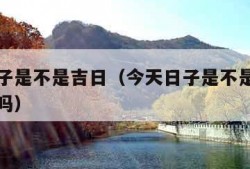 今天日子是不是吉日（今天日子是不是吉日可以提车吗）