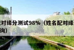 姓名配对缘分测试98%（姓名配对缘分测试911查询）