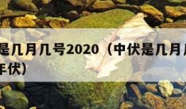 中伏是几月几号2020（中伏是几月几号2021年伏）