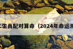 十二生肖配对算命（2024年命运测算）