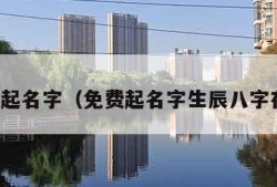 免费起名字（免费起名字生辰八字在线）