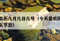 今天是农历几月几日几号（今天是农历几月几日是什么节日）