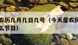 今天是农历几月几日几号（今天是农历几月几日是什么节日）