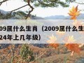 2009属什么生肖（2009属什么生肖 2024年上几年级）