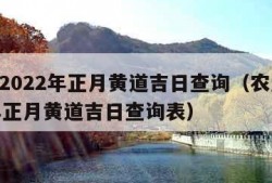 农历2022年正月黄道吉日查询（农历2022年正月黄道吉日查询表）