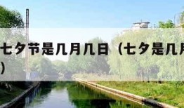 2020七夕节是几月几日（七夕是几月几日2024）