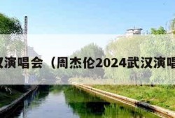 武汉演唱会（周杰伦2024武汉演唱会）