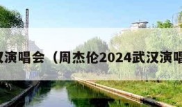 武汉演唱会（周杰伦2024武汉演唱会）