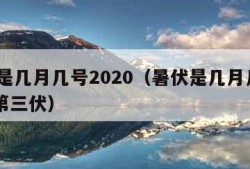 暑伏是几月几号2020（暑伏是几月几号2021第三伏）