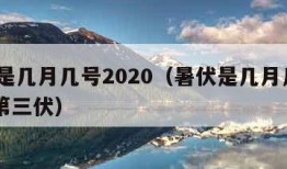 暑伏是几月几号2020（暑伏是几月几号2021第三伏）