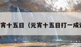 元宵十五日（元宵十五日打一成语）