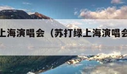 苏打绿上海演唱会（苏打绿上海演唱会因台风改期）