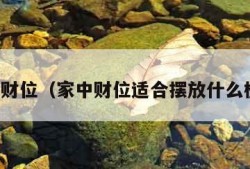 家中财位（家中财位适合摆放什么植物）