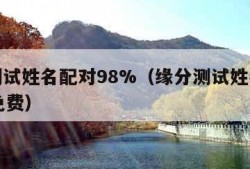 缘分测试姓名配对98%（缘分测试姓名配对98%免费）