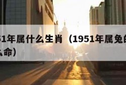 1951年属什么生肖（1951年属兔的是什么命）