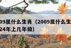 2009属什么生肖（2009属什么生肖 2024年上几年级）