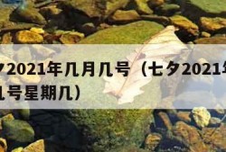 七夕2021年几月几号（七夕2021年几月几号星期几）