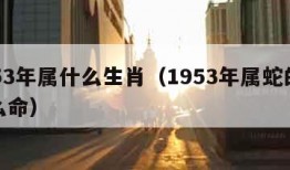 1953年属什么生肖（1953年属蛇的是什么命）