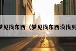 梦见找东西（梦见找东西没找到）