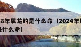 1988年属龙的是什么命（2024年属龙的是什么命）