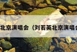 刘若英北京演唱会（刘若英北京演唱会嘉宾）