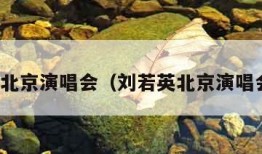 刘若英北京演唱会（刘若英北京演唱会嘉宾）