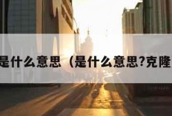 是什么意思（是什么意思?克隆）