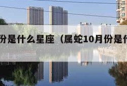 10月份是什么星座（属蛇10月份是什么星座）