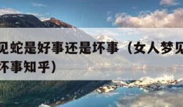 女人梦见蛇是好事还是坏事（女人梦见蛇是好事还是坏事知乎）