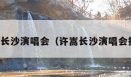 许嵩长沙演唱会（许嵩长沙演唱会报批）