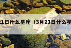 3月21日什么星座（3月21日什么星座男）