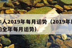 属牛人2019年每月运势（2019年属牛人的全年每月运势）