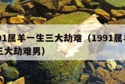 1991属羊一生三大劫难（1991属羊一生三大劫难男）