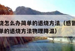 感冒发烧怎么办简单的退烧方法（感冒发烧怎么办简单的退烧方法物理降温）