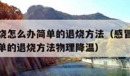 感冒发烧怎么办简单的退烧方法（感冒发烧怎么办简单的退烧方法物理降温）