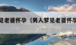 男人梦见老婆怀孕（男人梦见老婆怀孕流产流血）