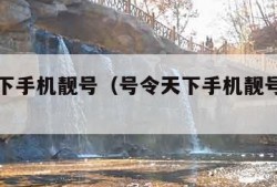 号令天下手机靓号（号令天下手机靓号是真的吗）