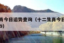 十二生肖今日运势查询（十二生肖今日运势查询8月29）