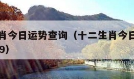 十二生肖今日运势查询（十二生肖今日运势查询8月29）