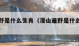 漫山遍野是什么生肖（漫山遍野是什么生肖最佳答案）